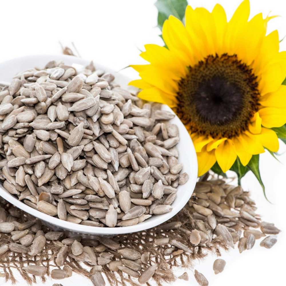 Sunflower Seeds (Premium)